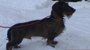 Greta