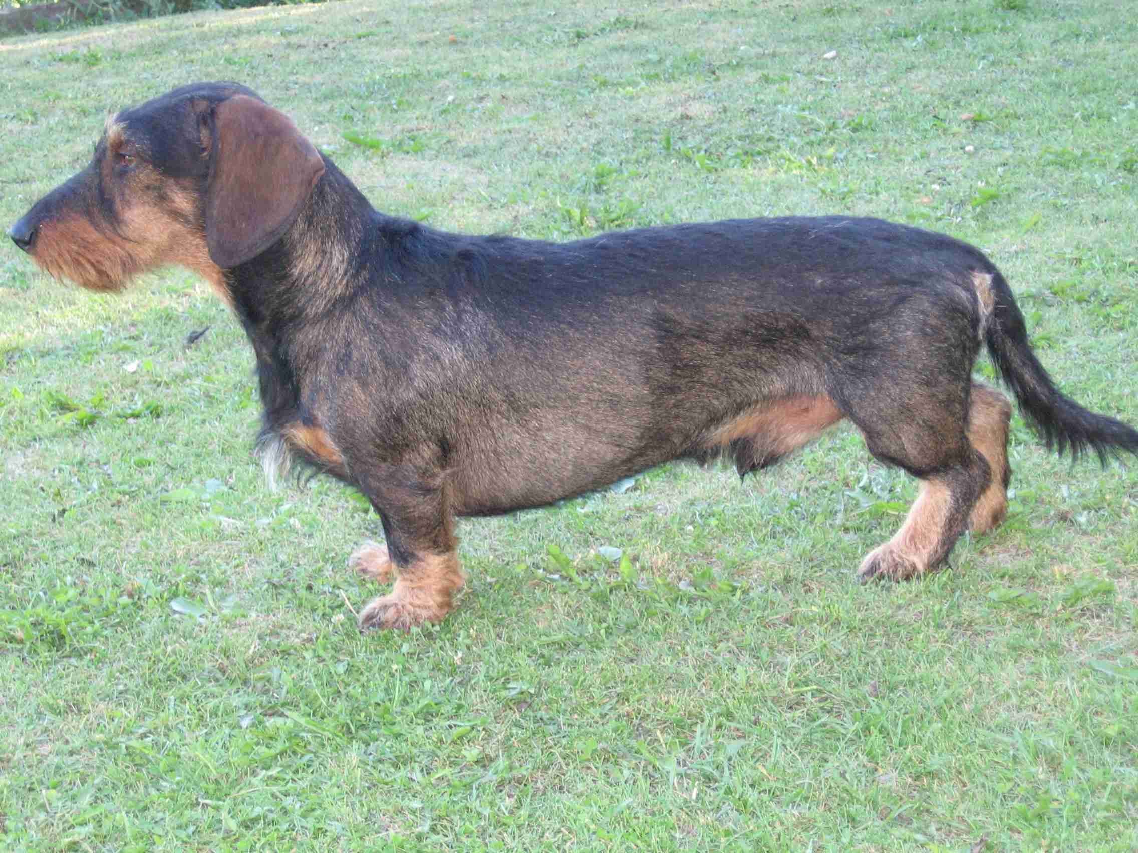 Bodns Berija